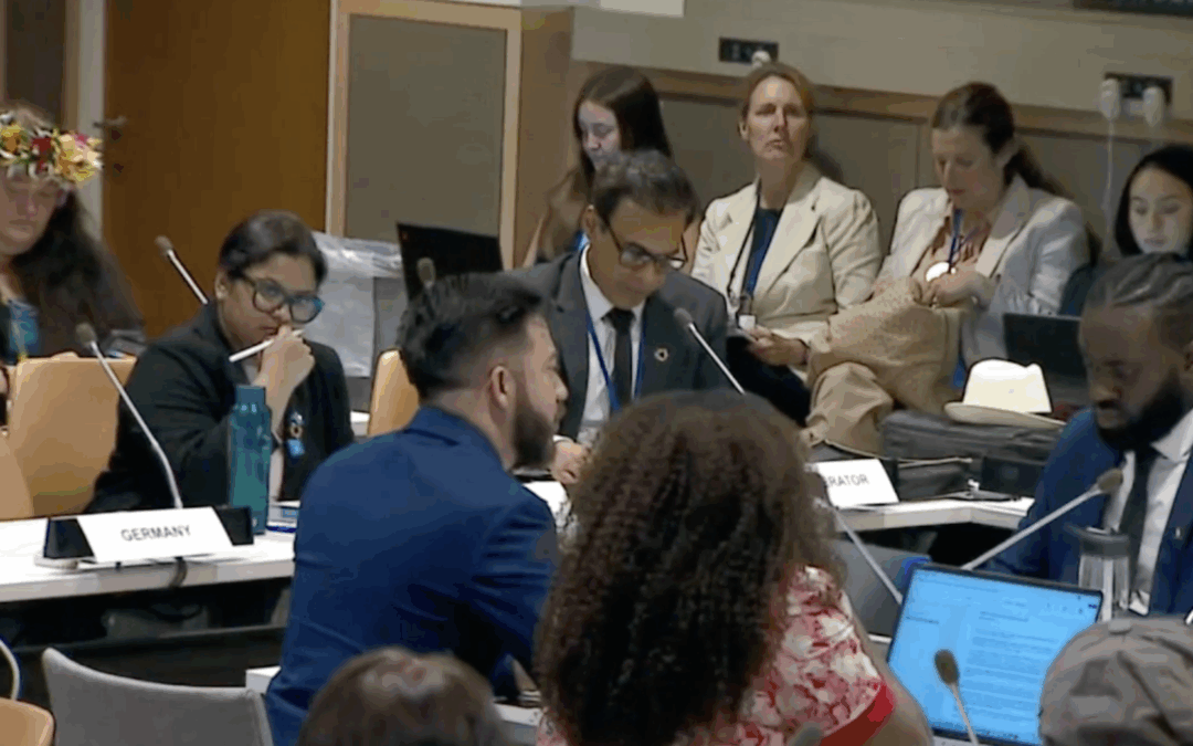 Centinelas del Agua llevó la voz de las comunidades mayas a la ONU